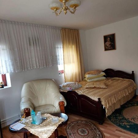 Casa Rodica Appartement Vatra Dornei Buitenkant foto