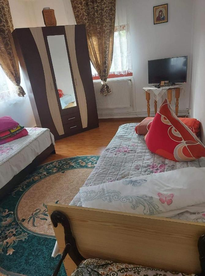 Casa Rodica Appartement Vatra Dornei Buitenkant foto