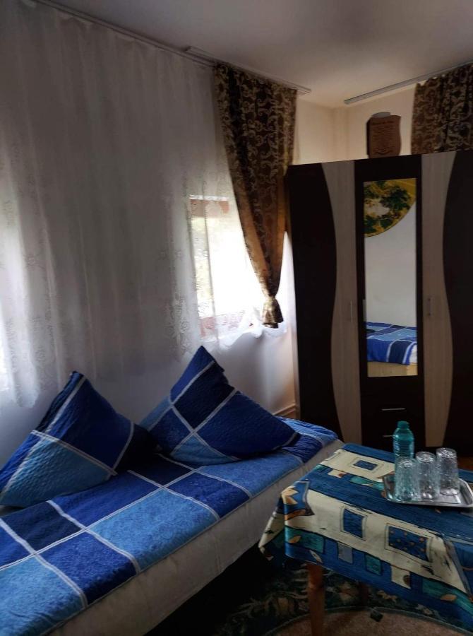 Casa Rodica Appartement Vatra Dornei Buitenkant foto
