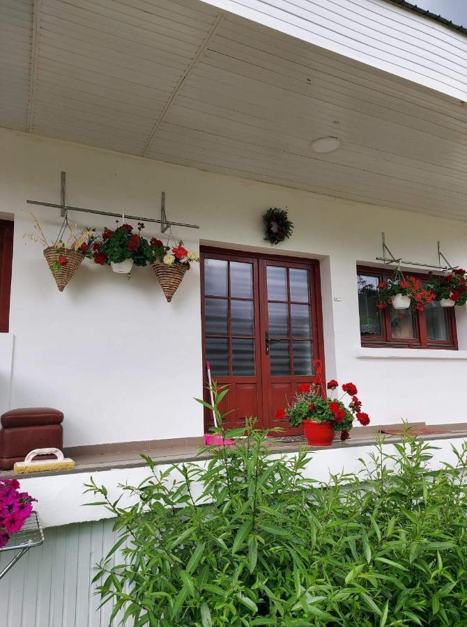 Casa Rodica Appartement Vatra Dornei Buitenkant foto