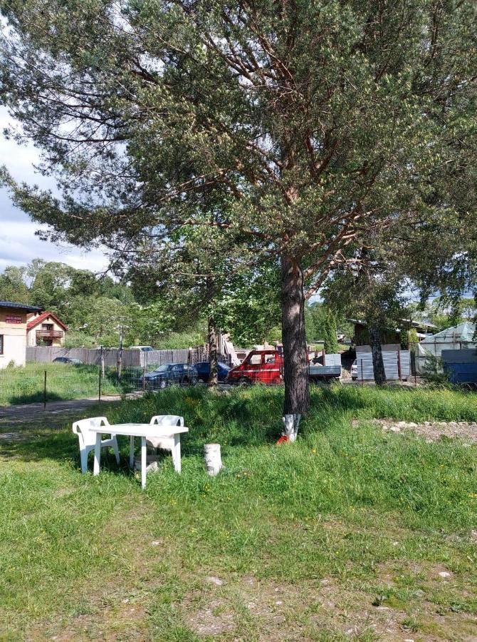 Casa Rodica Appartement Vatra Dornei Buitenkant foto