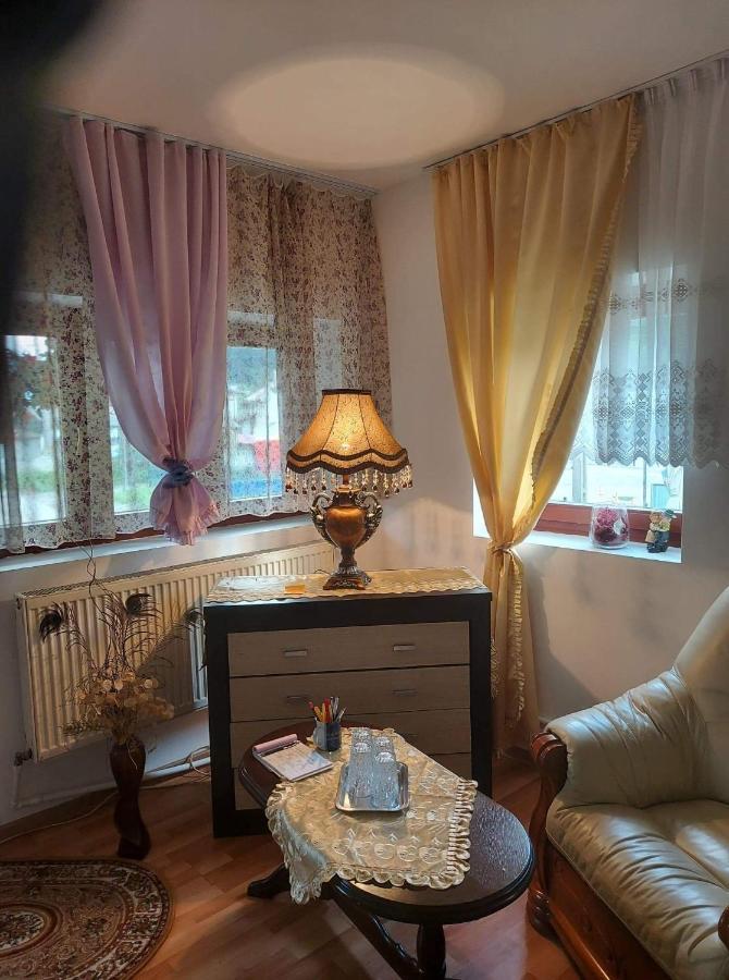 Casa Rodica Appartement Vatra Dornei Buitenkant foto