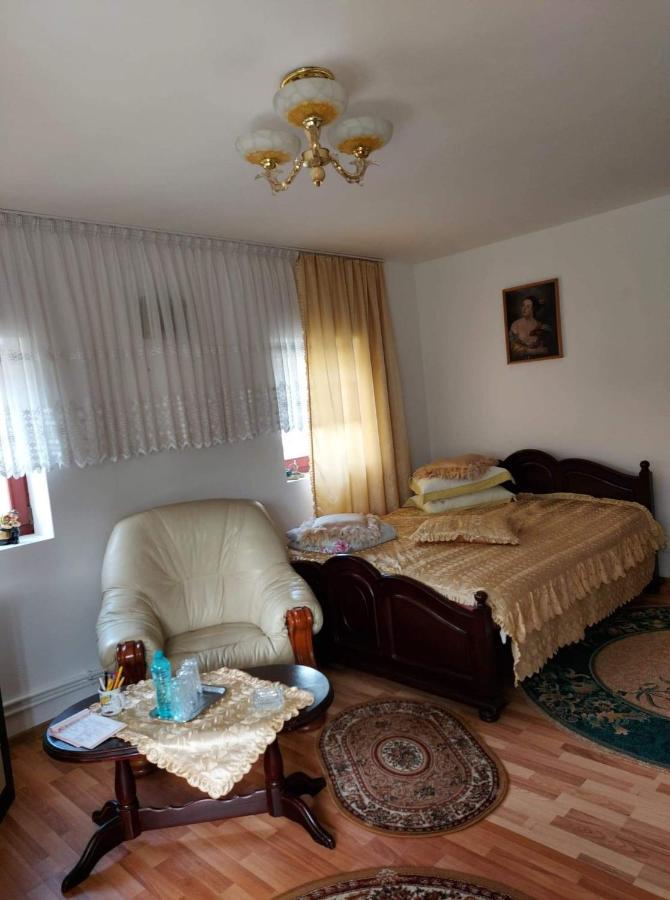 Casa Rodica Appartement Vatra Dornei Buitenkant foto