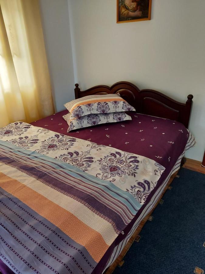 Casa Rodica Appartement Vatra Dornei Buitenkant foto
