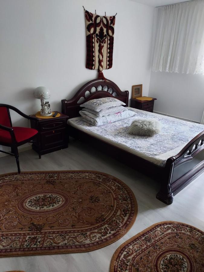 Casa Rodica Appartement Vatra Dornei Buitenkant foto