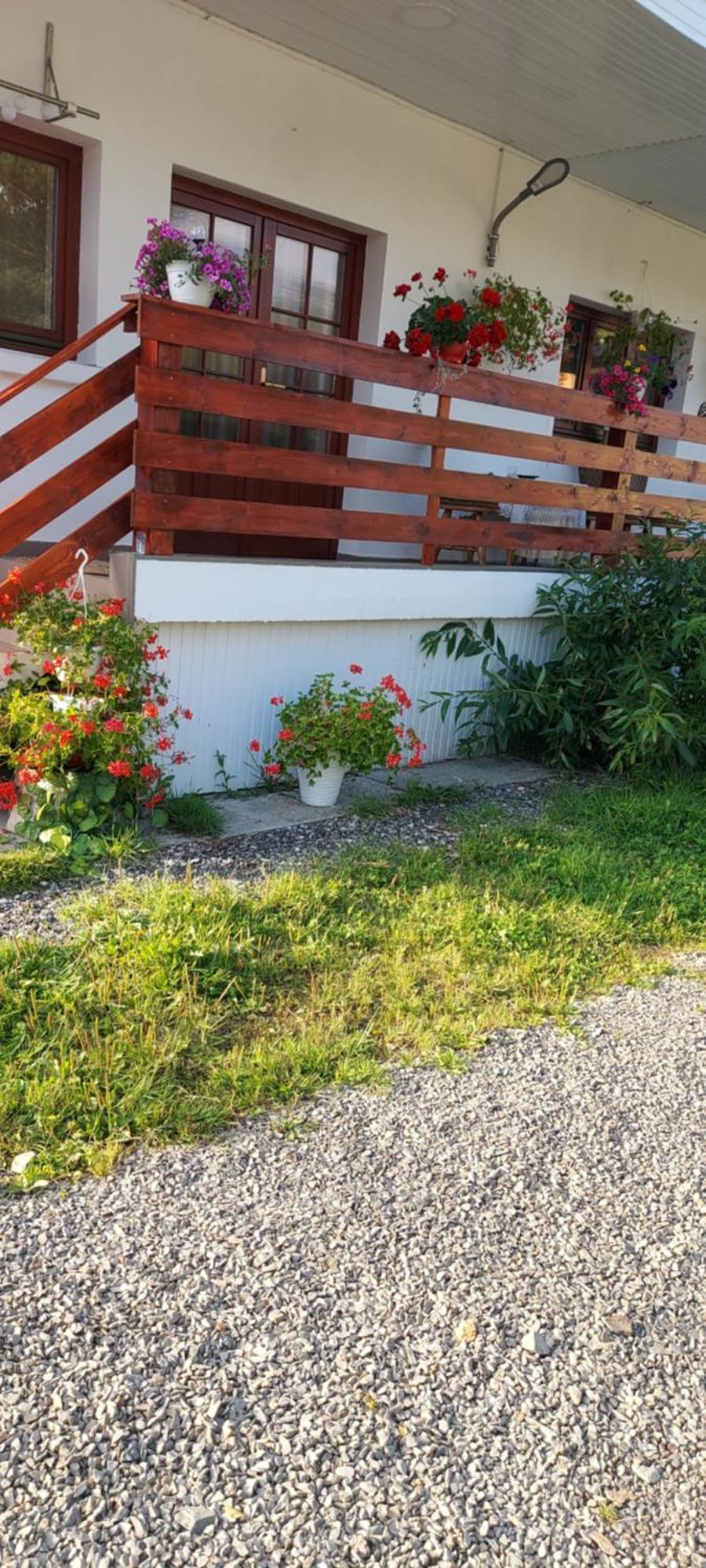 Casa Rodica Appartement Vatra Dornei Buitenkant foto